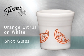 Orange Citrus Shot Glasses on White